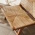 Botanical Lounge Chair