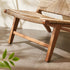 Botanical Lounge Chair
