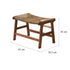 Botanical Lounge Chair